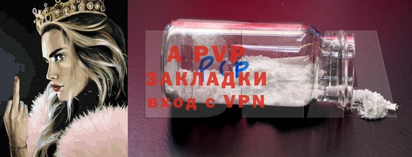 прущие грибы Михайлов