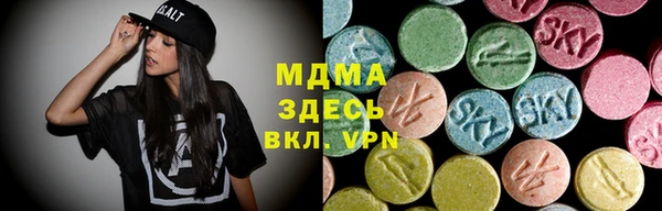 прущие грибы Михайлов