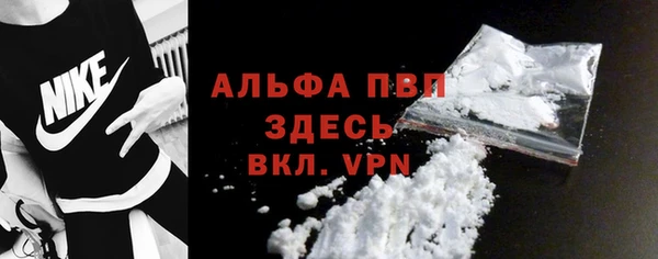 прущие грибы Михайлов