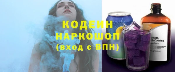 прущие грибы Михайлов