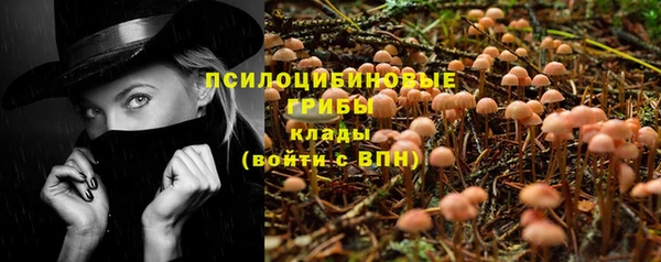 молекула духа Медвежьегорск