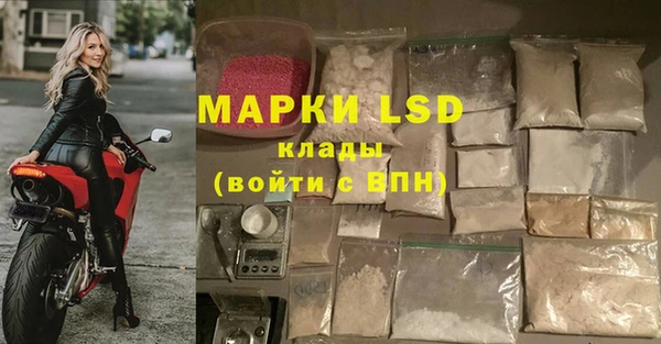 мяу мяу мука Михайловск