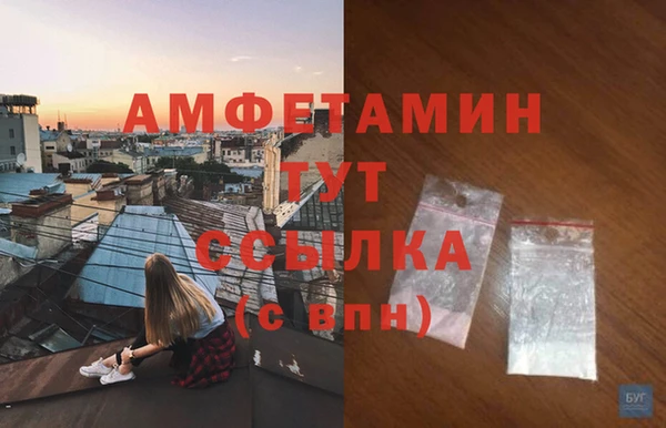 прущие грибы Михайлов