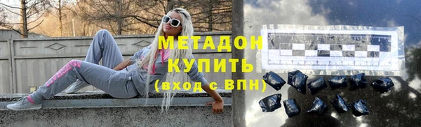прущие грибы Михайлов
