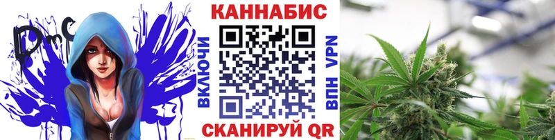 darknet Telegram  как найти   Мценск  Каннабис гибрид 